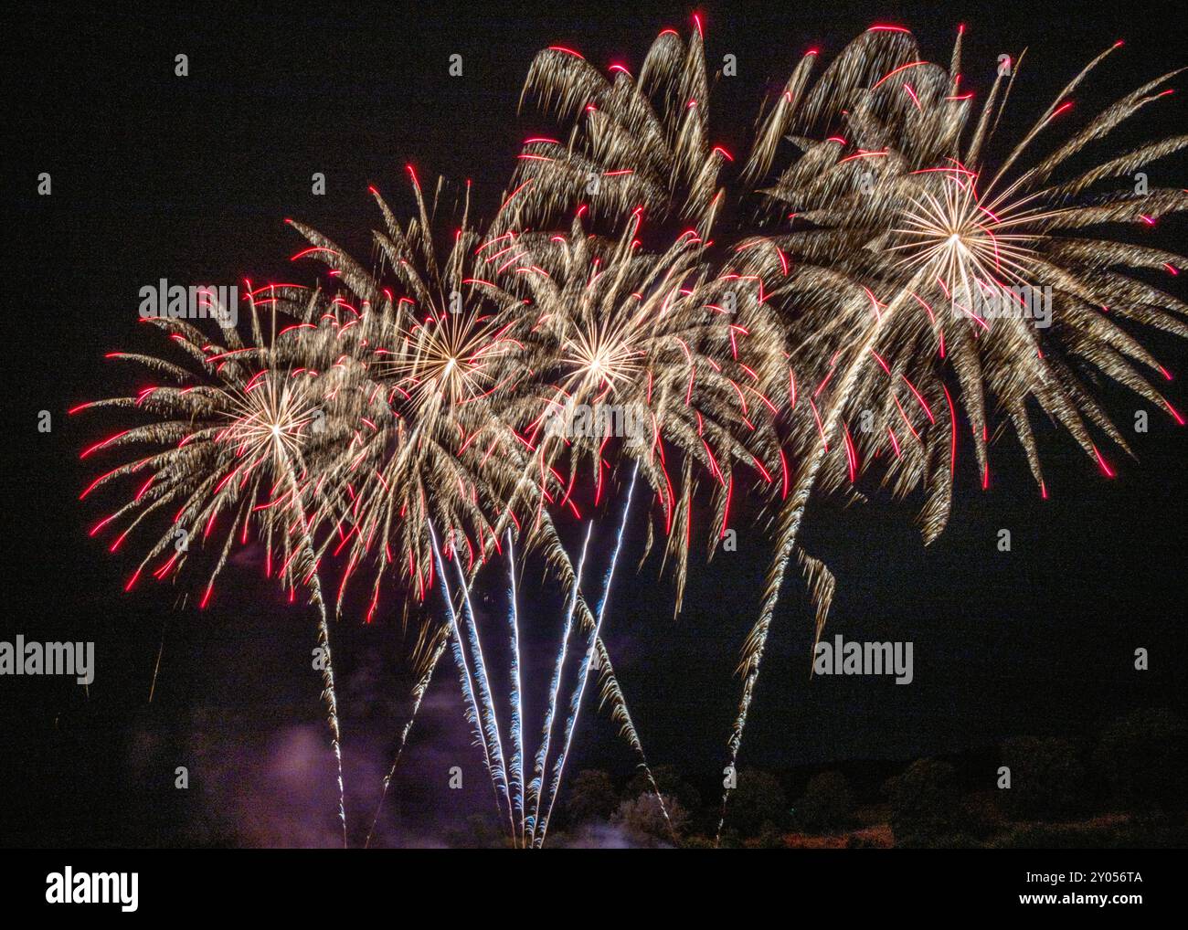 Buntes Feuerwerk gegen den Schwarzen Himmel Stockfoto