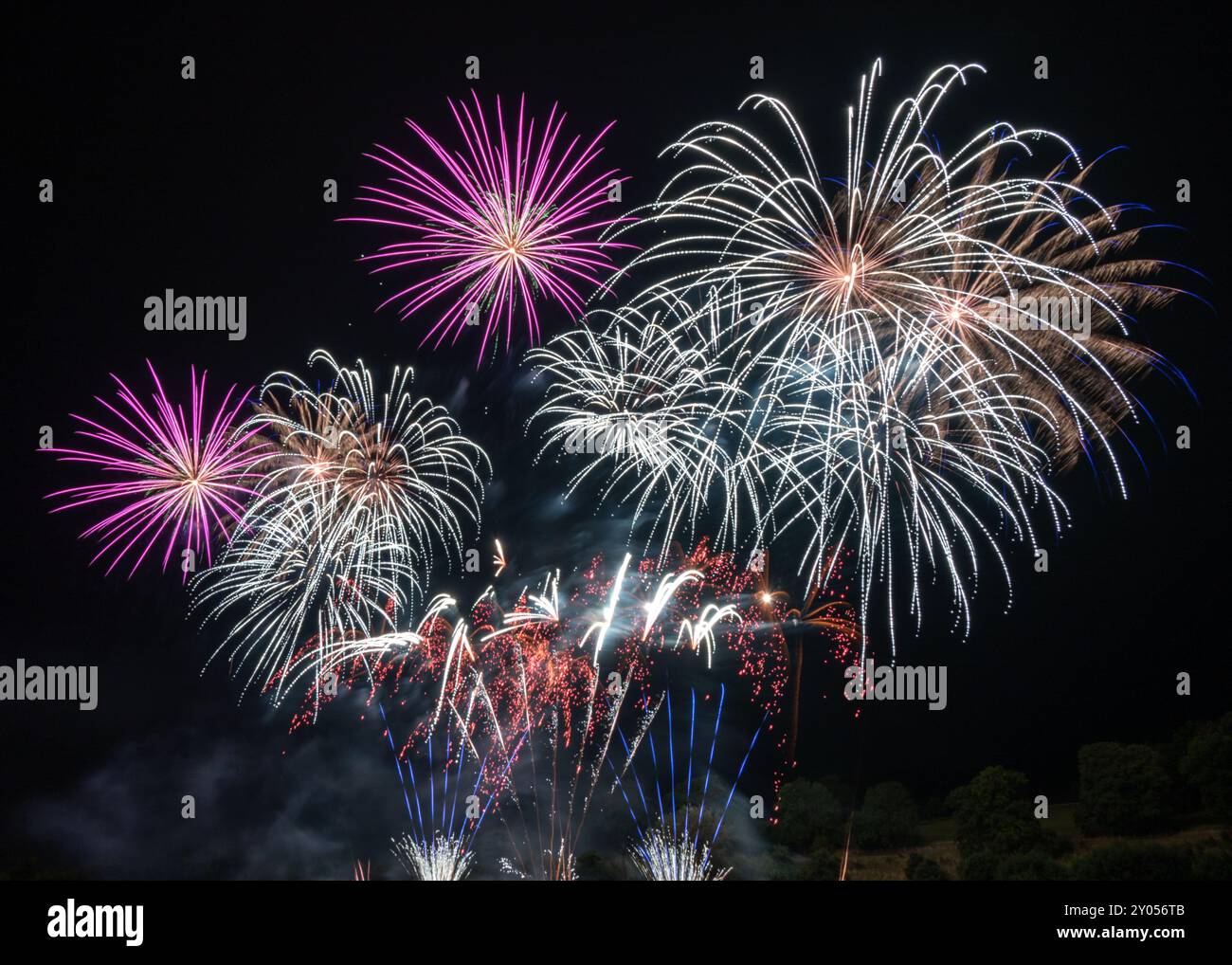 Buntes Feuerwerk gegen den Schwarzen Himmel Stockfoto