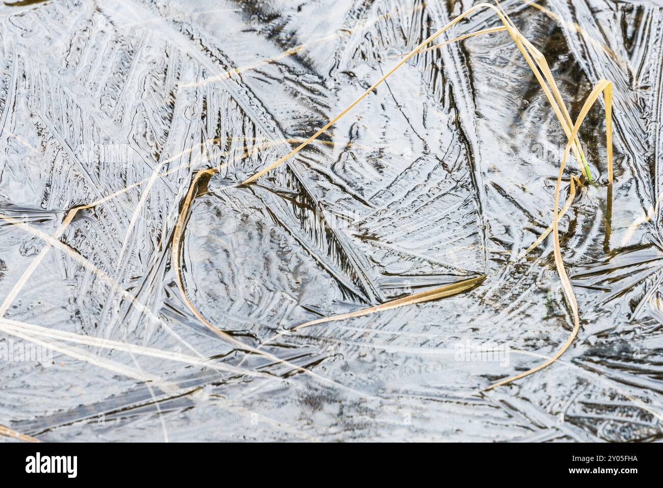 Eisstrukturen in einem Bach, Gaellivare, Norrbotten, Lappland, Schweden, Oktober 2015, Europa Stockfoto