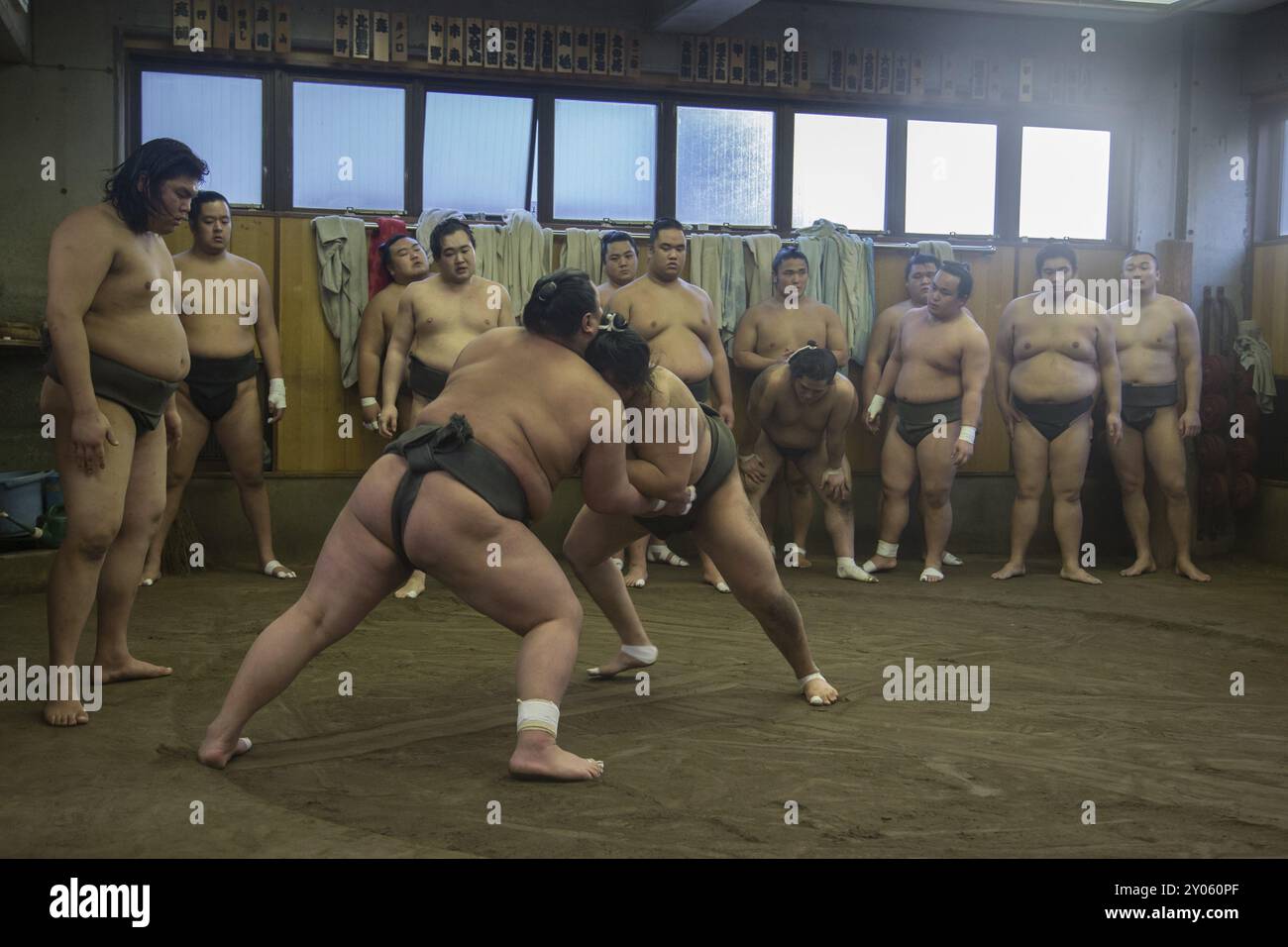 Tokio, Japan, 21. Dezember 2014: Japanisches Sumo-Ringertraining im asiatischen Ryogoku Stockfoto