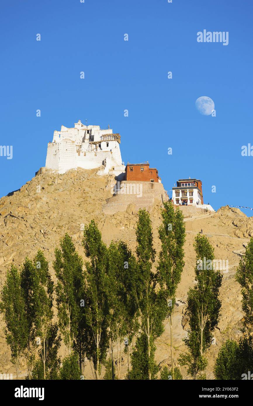 Tsemos Schloss und Namgyal Tsemos Gompa auf einem Berg mit Mondaufgang von Tele Abstand in Leh, Ladakh, Indien gesehen. Vertikal Stockfoto