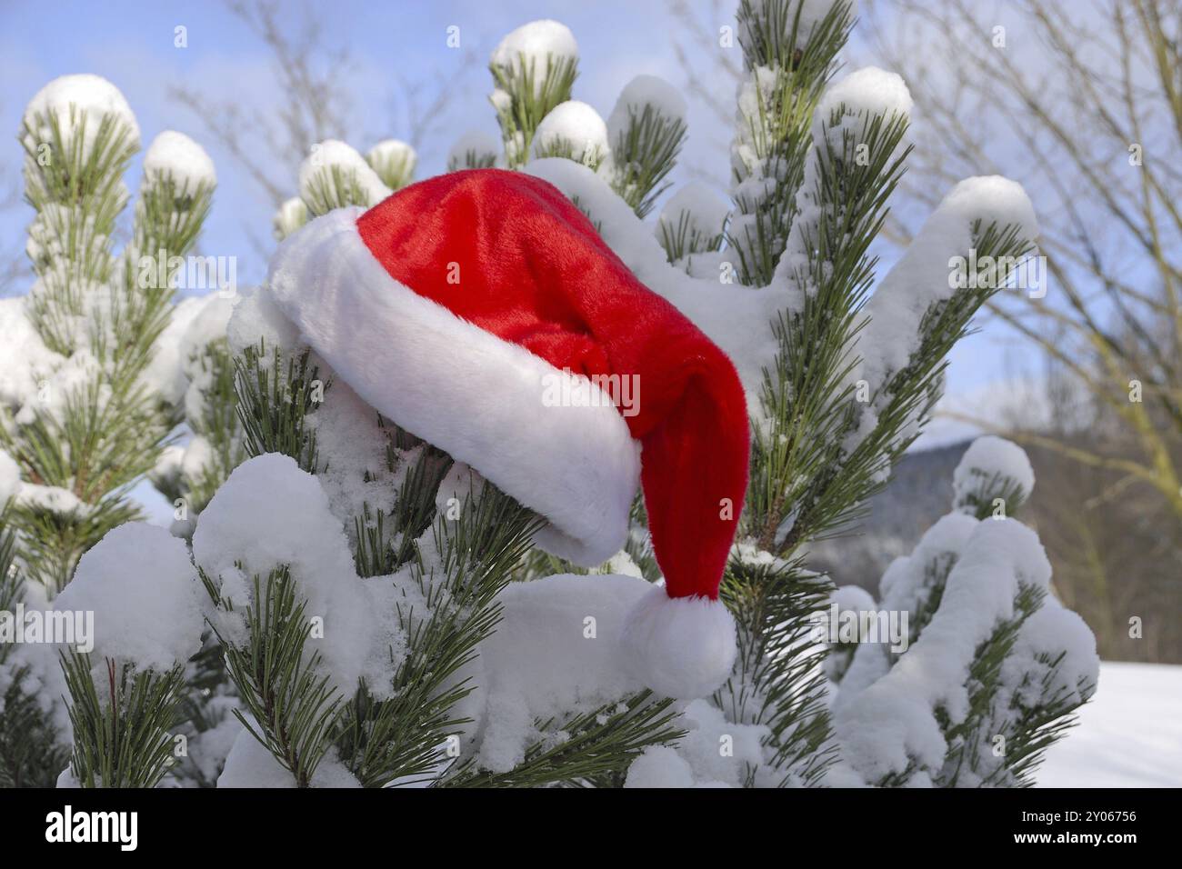 Weihnachten im Schnee Stockfoto