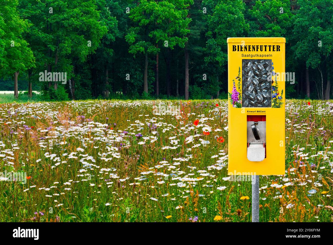 Samenkapseln im Automaten für Wild- und Honigbienen gegen Artensterben Stockfoto