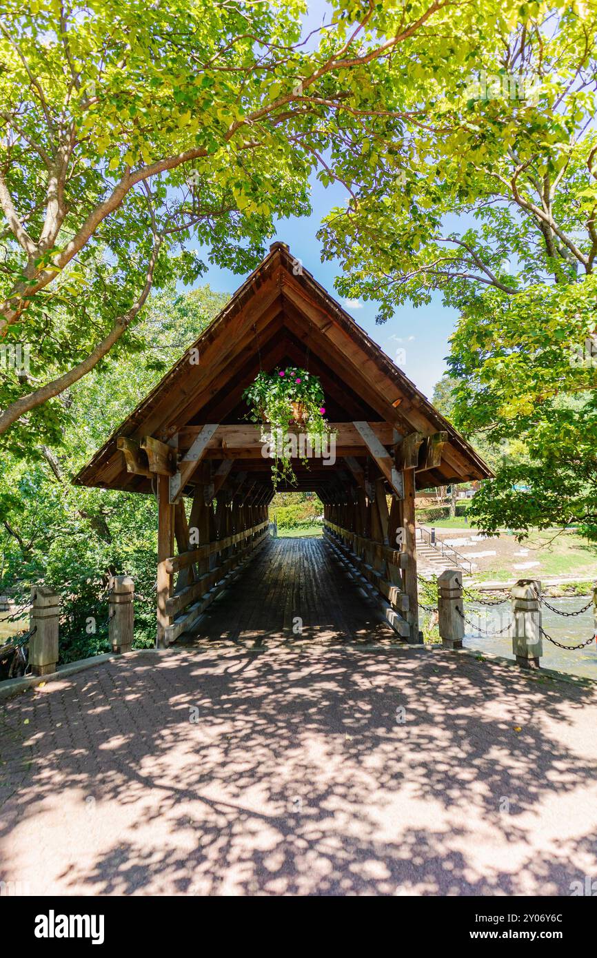 Holzbrücke über einen Fluss im Sommer Stockfoto