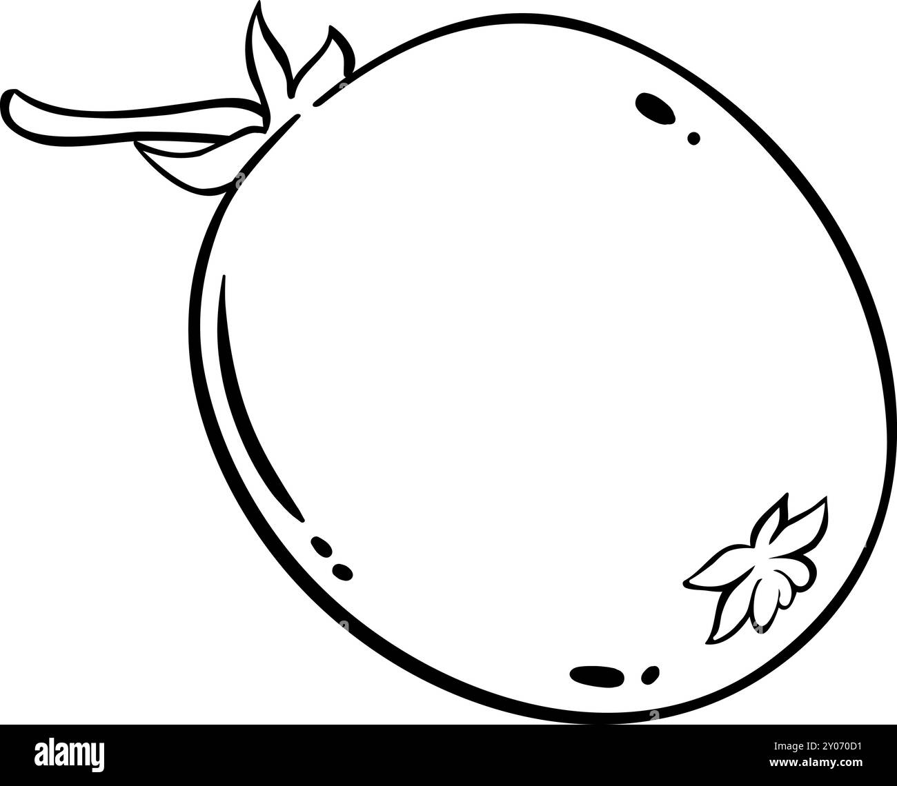 Kiwi Fruit Outline Isolierte Illustration Stock Vektor