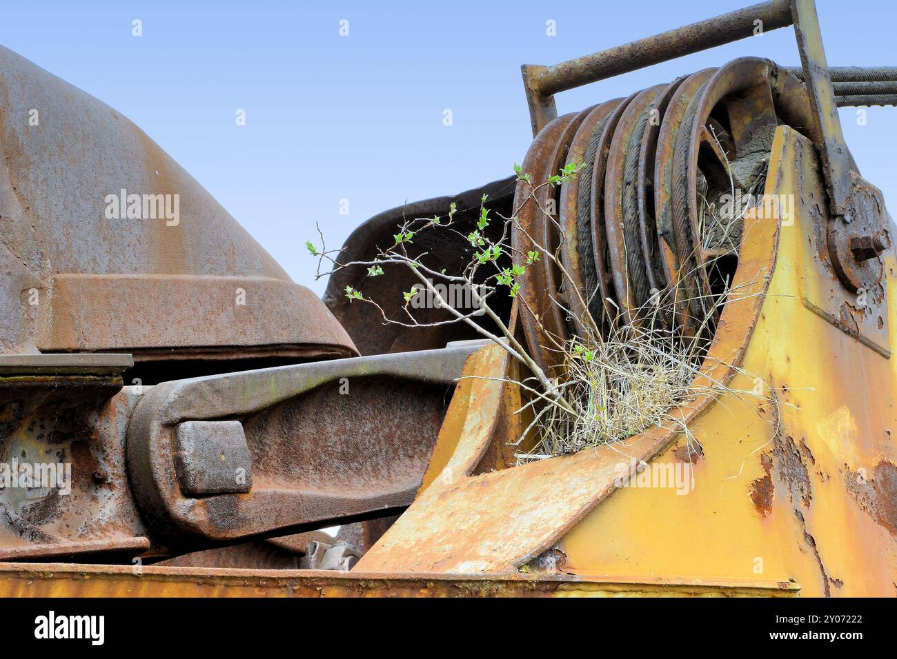 Eine Anlage wächst auf einem alten Kohlebagger in einem stillgelegten Tagebau Stockfoto