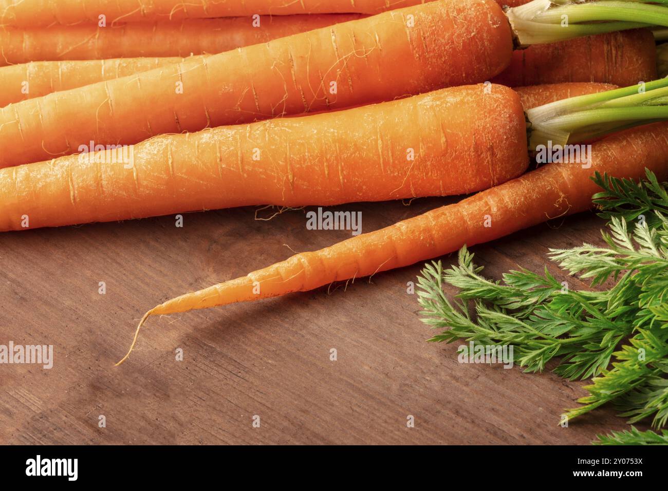 Frische organische rohe Möhren auf einem dunklen Holzmöbeln im Landhausstil Hintergrund mit einem Platz für Text Stockfoto