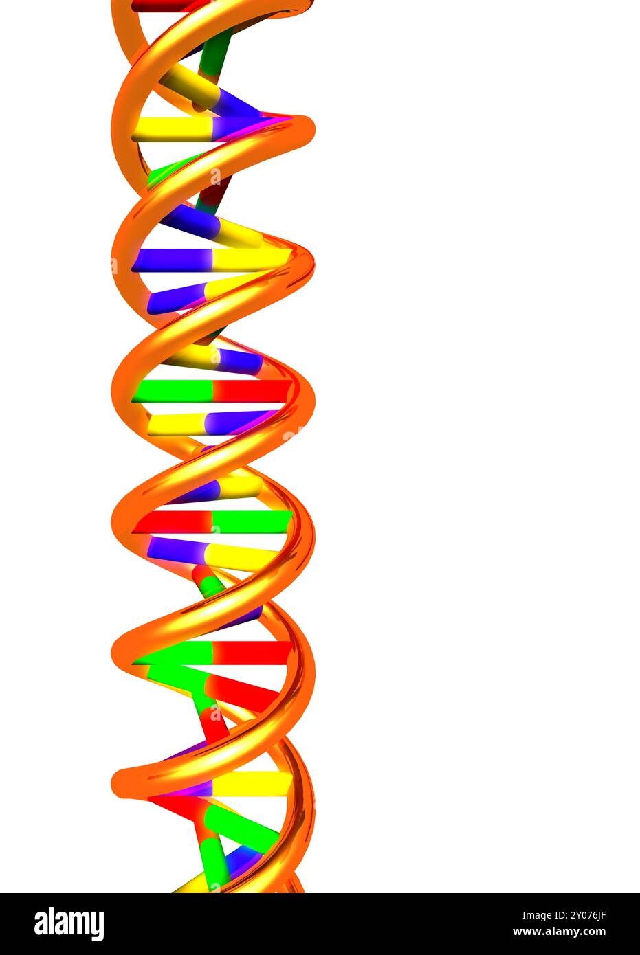 DNA-Molekül-Doppelhelix-3D-Illustration isoliert auf weißem Hintergrund Stockfoto