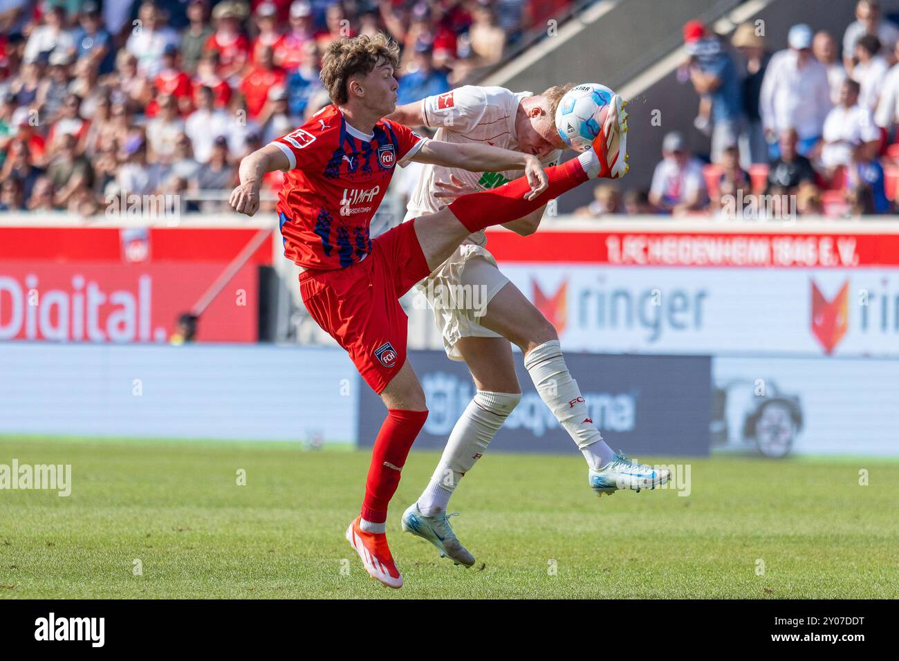 Paul WANNER (1. FC Heidenheim, #10) mit einem Foul, hohes Bein gegen Tim BREITHAUPT (FC Augsburg, #18) GER, 1. FC Heidenheim (FCH) vs. FC Augsburg (FCA), Fussball, Maenner, Herren, 1. Bundesliga, 2. Spieltag, Saison 2024/2025, 01.09.2024 DFL/DFB-VORSCHRIFTEN VERBIETEN JEDE VERWENDUNG VON FOTOGRAFIEN ALS BILDSEQUENZEN UND/ODER QUASI-VIDEO Foto: Eibner-Pressefoto/Oliver Schmidt Stockfoto