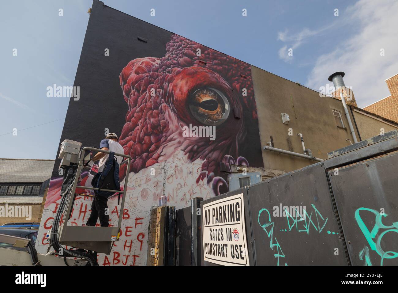 Southend on Sea, Großbritannien. Oktober 2024. Die Künstler beenden ihre Arbeit am letzten Tag des Southend City Jam 2024 Urban Street Arts Festivals. Mehr als 200 Künstler aus aller Welt treffen sich auf Southend für das Wochenende mit farbenfroher Kunst. Sie produzieren wunderbare Arbeiten an Wänden, Plakatwänden und den Seiten von Gebäuden. Penelope Barritt/Alamy Live News Stockfoto