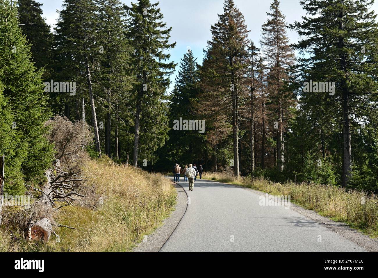 Wanderer auf dem Weg vom Gipfel des Brocken zum Dorf Schierke im Nationalpark Harz Stockfoto