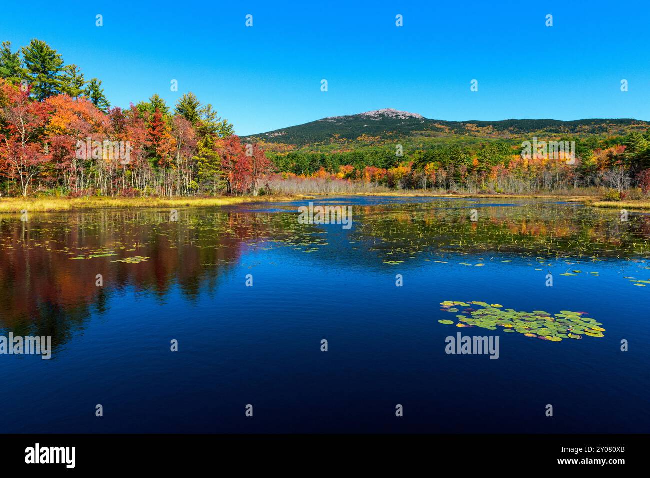 Herbstfarben und Wasserteich in der Nähe des Mount Monadnock Stockfoto