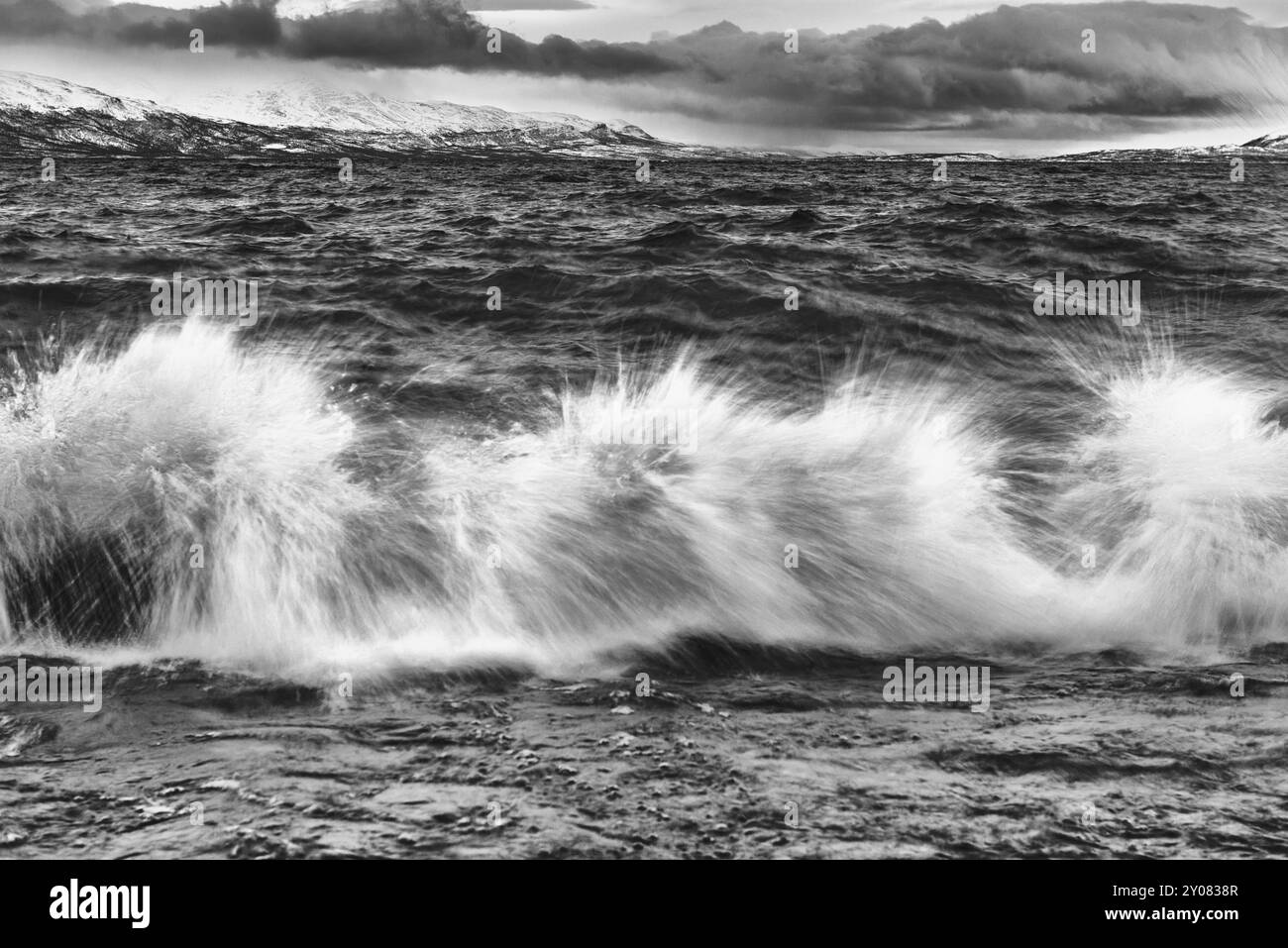 Surfen im Lake Tornetraesk, Norrbotten, Lappland, Schweden, Januar 2014, Europa Stockfoto