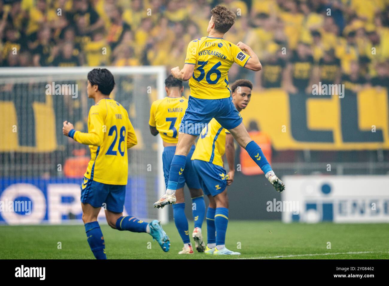 Dänemark. September 2024. Brondby IF’s Mathias Kvistgaarden feiert, nachdem er beim 3F Superliga-Spiel zwischen dem FC Kopenhagen und Brondby IF in Parken in Kopenhagen am Sonntag, den 1. September 2024 ein Tor von 1-2 erzielt hat. (Foto: Mads Claus Rasmussen/Ritzau Scanpix) Credit: Ritzau/Alamy Live News Stockfoto