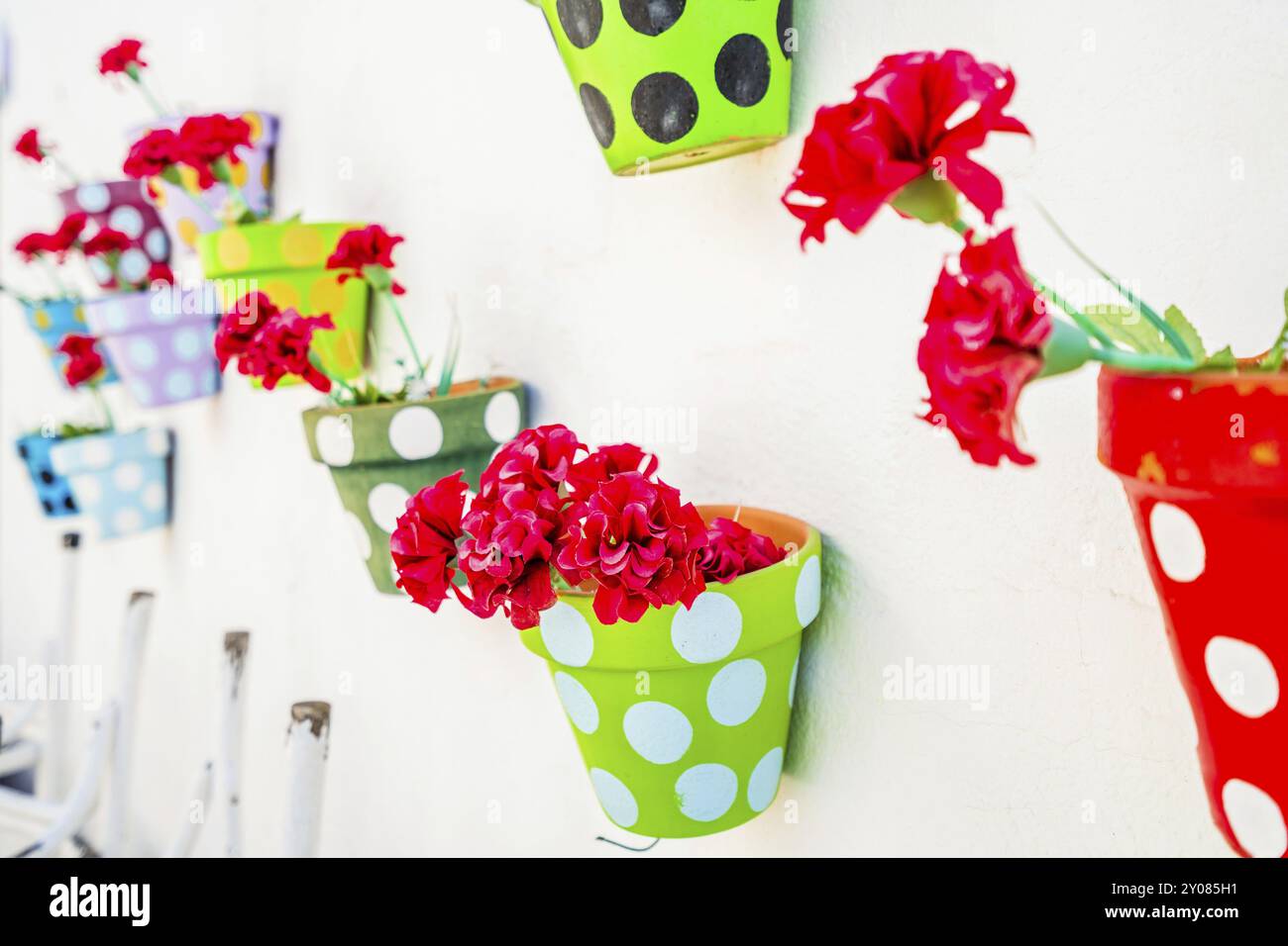 Niedliche Blumen in bunten Töpfen hängen an der weißen Wand in Costa Teguise, Lanzarote, Kanarischen Inseln, Spanien, Europa Stockfoto