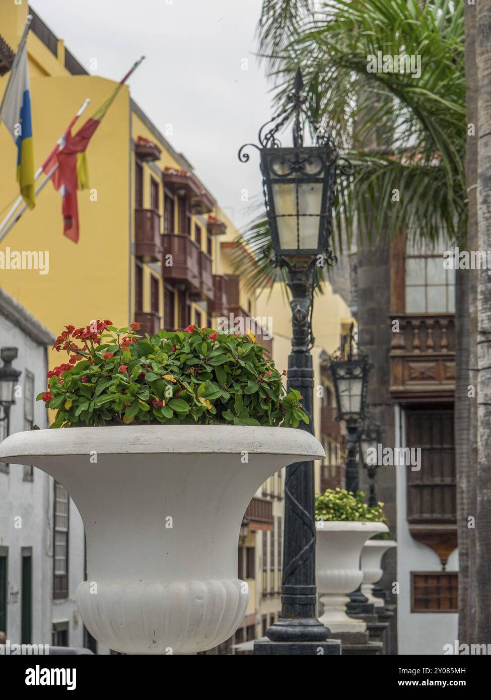 Straßenszene mit Pflanzgefäßen, Laternen und historischen Gebäuden, La palma, kanarische Inseln, spanien Stockfoto