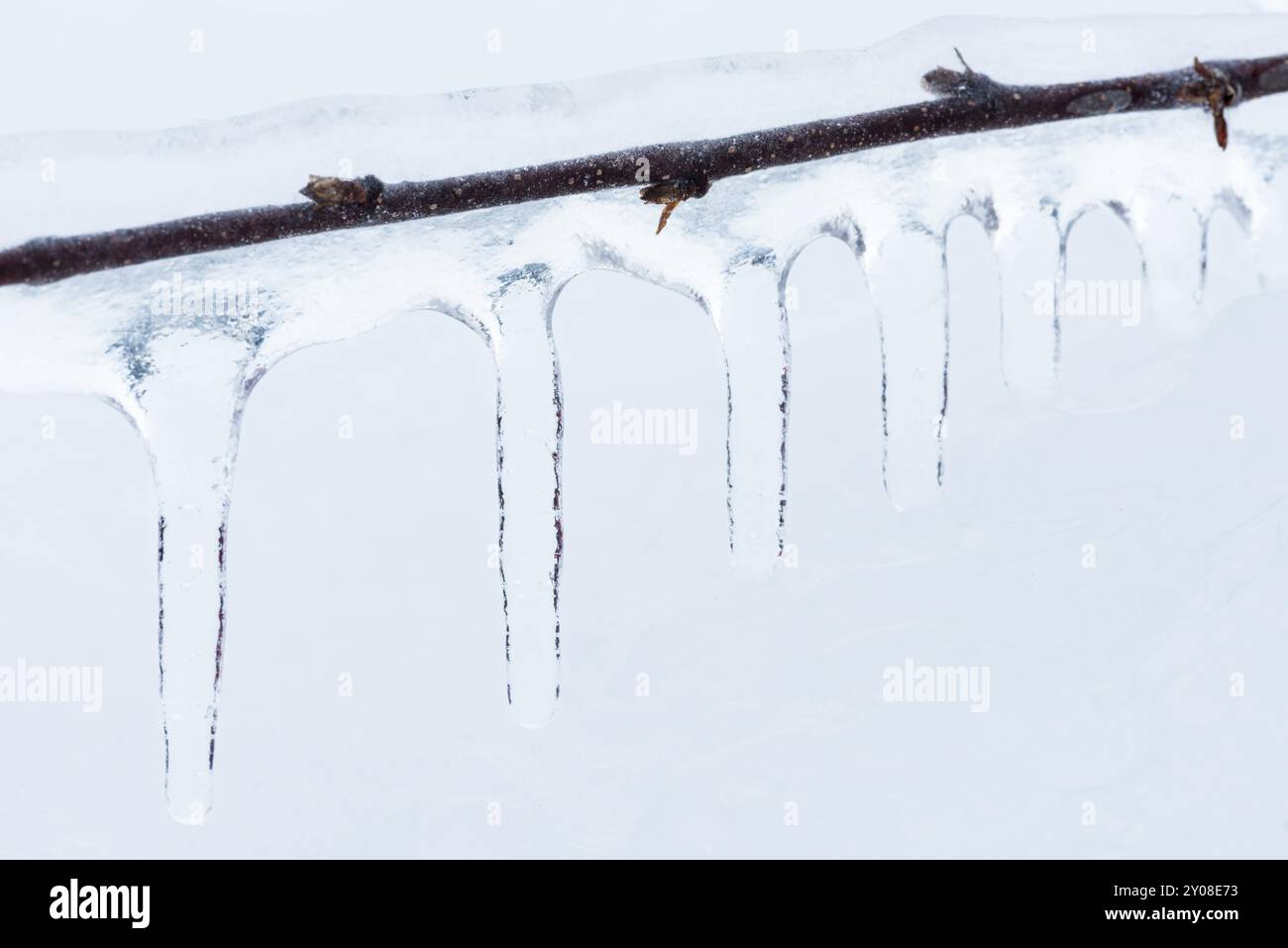 Eisbedeckte Niederlassung, Norrbotten, Lappland, Schweden, Januar 2016, Europa Stockfoto