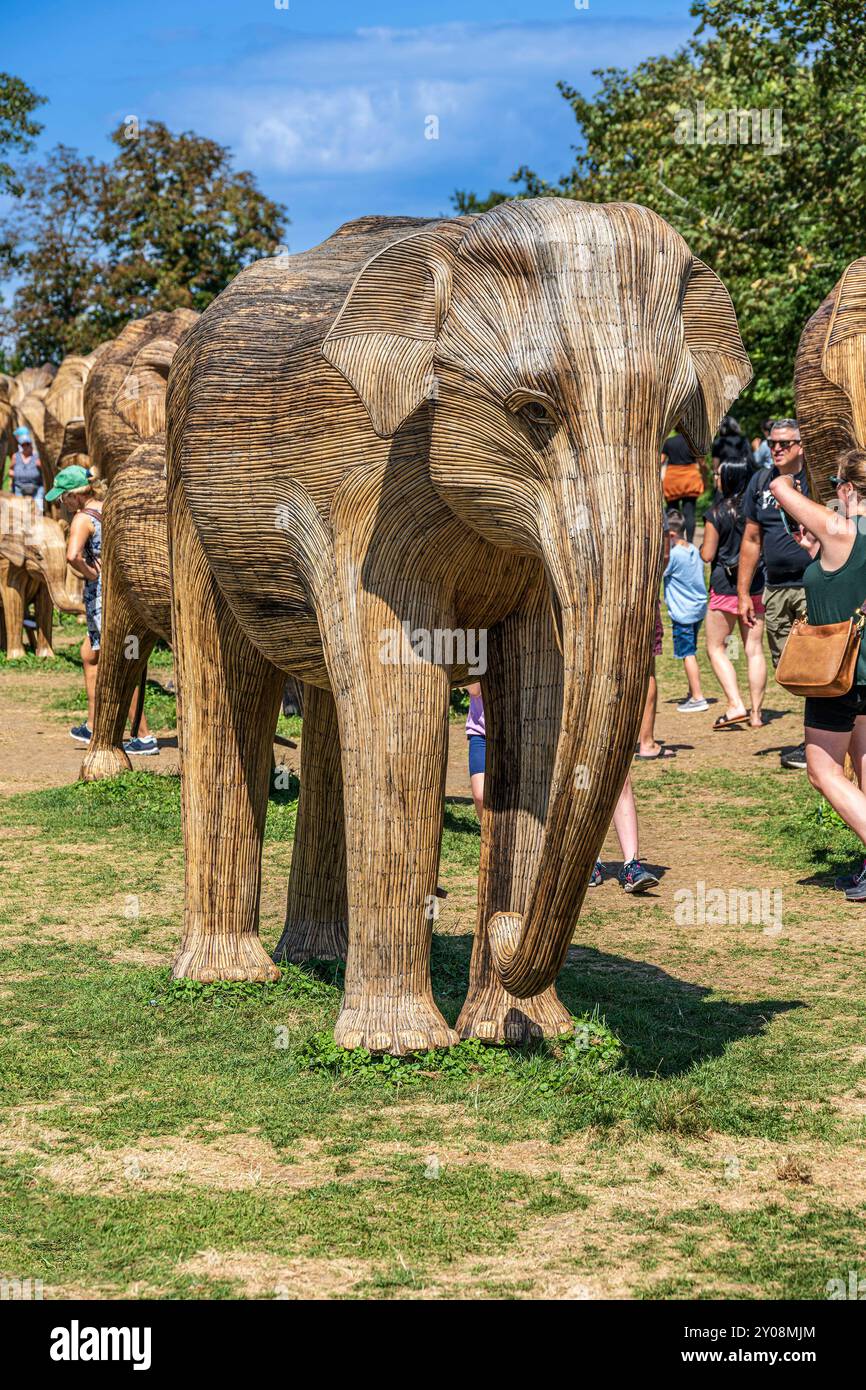 Die Große Elefantenwanderung Stockfoto