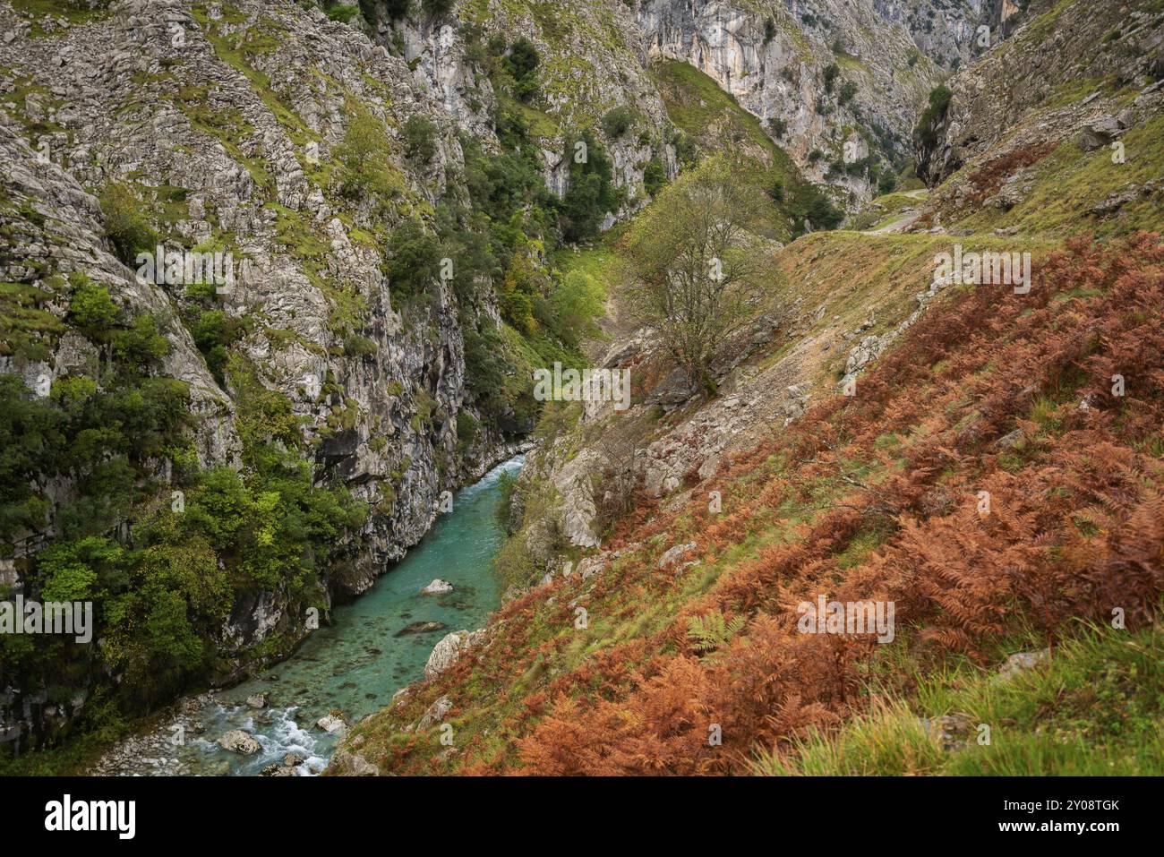 Wanderweg Ruta del Cares Naturlandschaft im Nationalpark Picos de Europa, Spanien, Europa Stockfoto