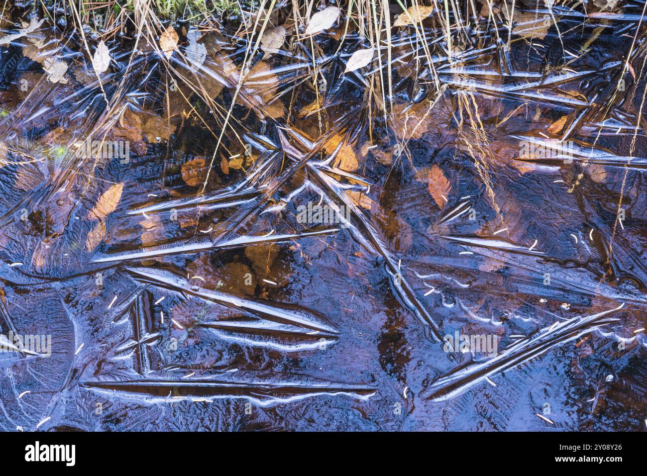 Eisstrukturen in einem Bach, Gaellivare, Norrbotten, Lappland, Schweden, Oktober 2015, Europa Stockfoto