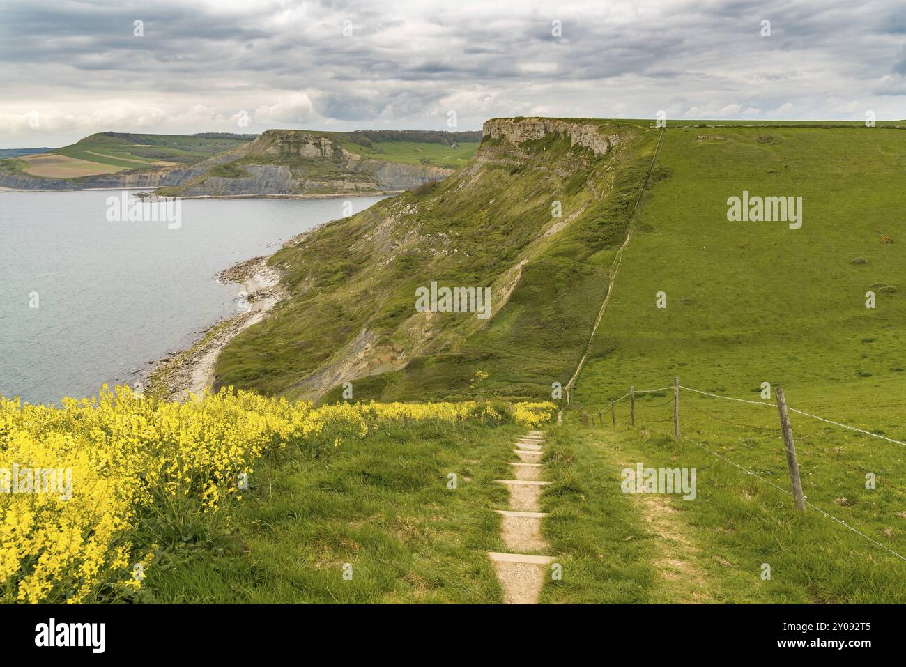 Wandern auf dem South West Coast Path, Richtung Emmetts Hill, Jurassic Coast, Dorset, Großbritannien Stockfoto