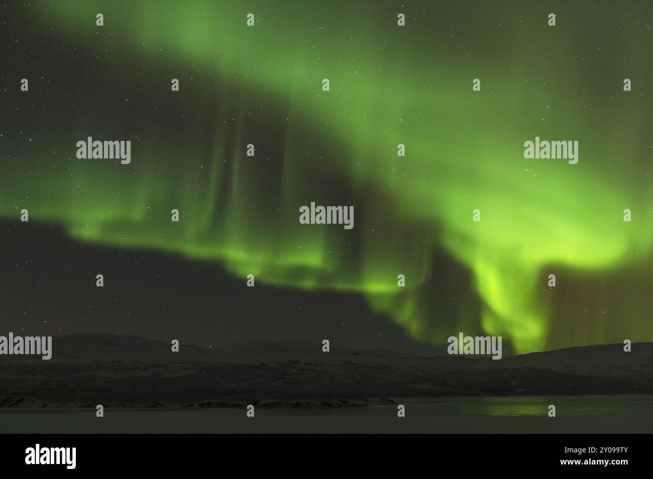 Nordlichter (Aurora borealis) über dem gefrorenen See Tornetraesk, Norrbotten, Lappland, Schweden, Januar 2014, Europa Stockfoto