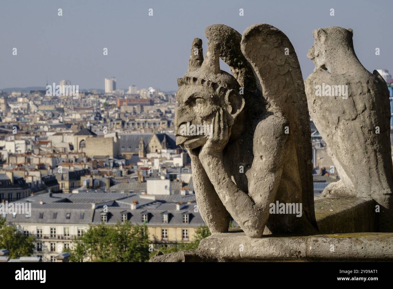 Gargoyles, Cathedrale Notre Dame, Sitz der Erzdiözese Paris, Paris, Frankreich, Westeuropa, Europa Stockfoto