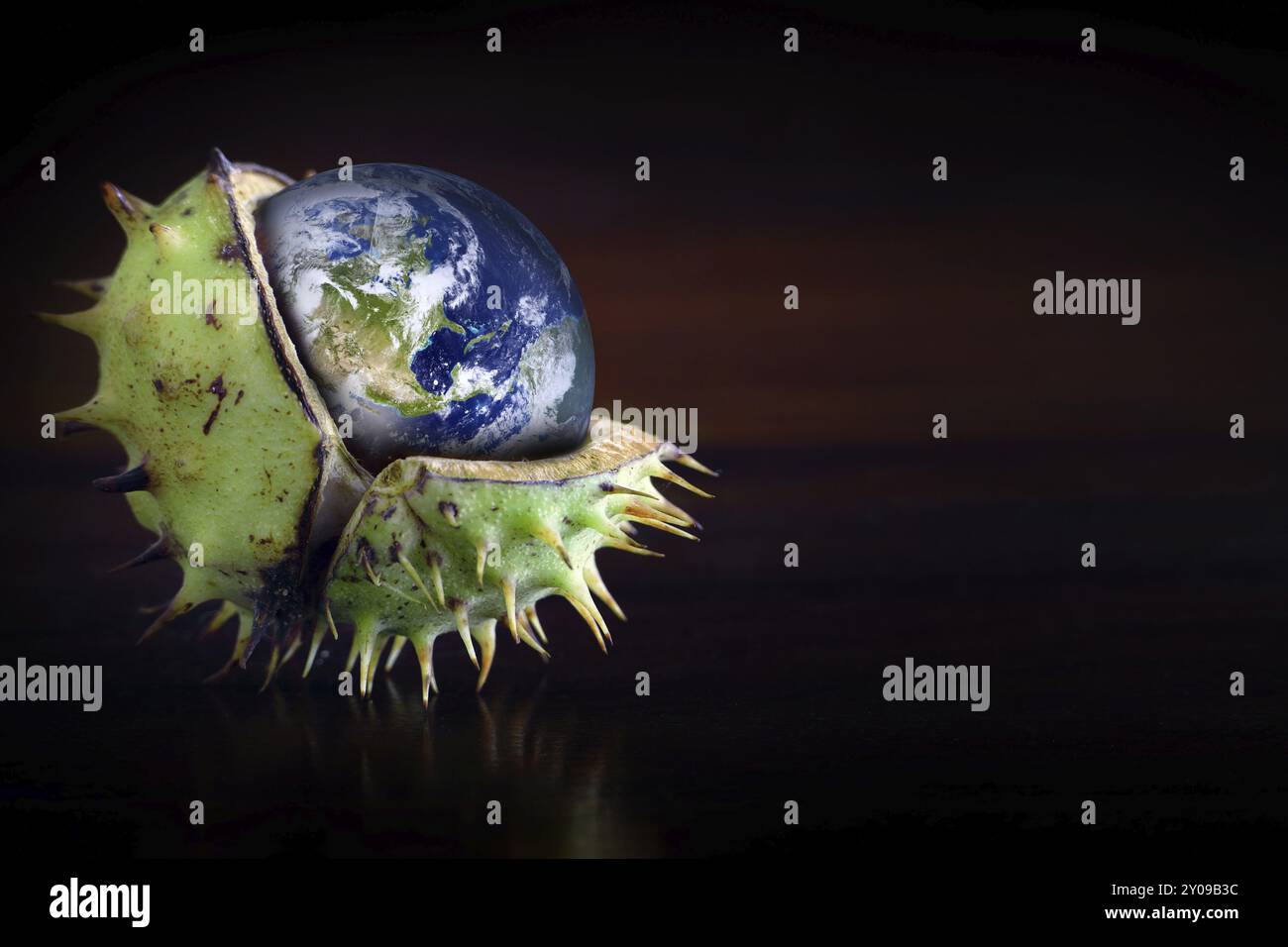 Globus geschützt in einer gebrochenen Kastanienschale, Symbol für Umweltschutz, Ozon, Treibhausgas, Collage Stockfoto