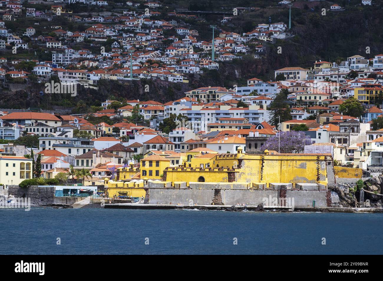 Blick auf Funchal auf der Insel Madeira, Portugal, Europa Stockfoto