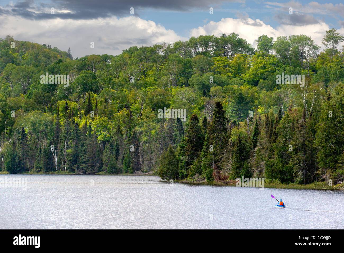 Eine Person, die mit einem Kajak über den Mink Lake im Cook County im Norden von Minnesota paddelt, mit dem Superior National Forest im Hintergrund. Stockfoto