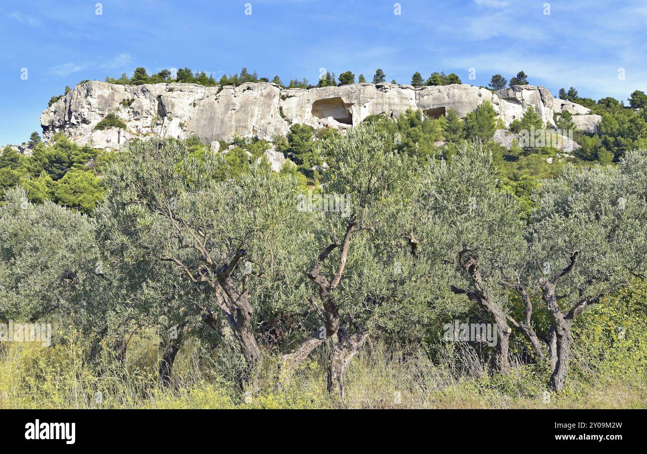 Olivenbäume und Bergketten Stockfoto