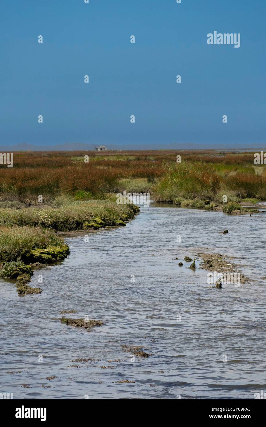 Passadicos de Esgueira, Aveiro Portugal Stockfoto