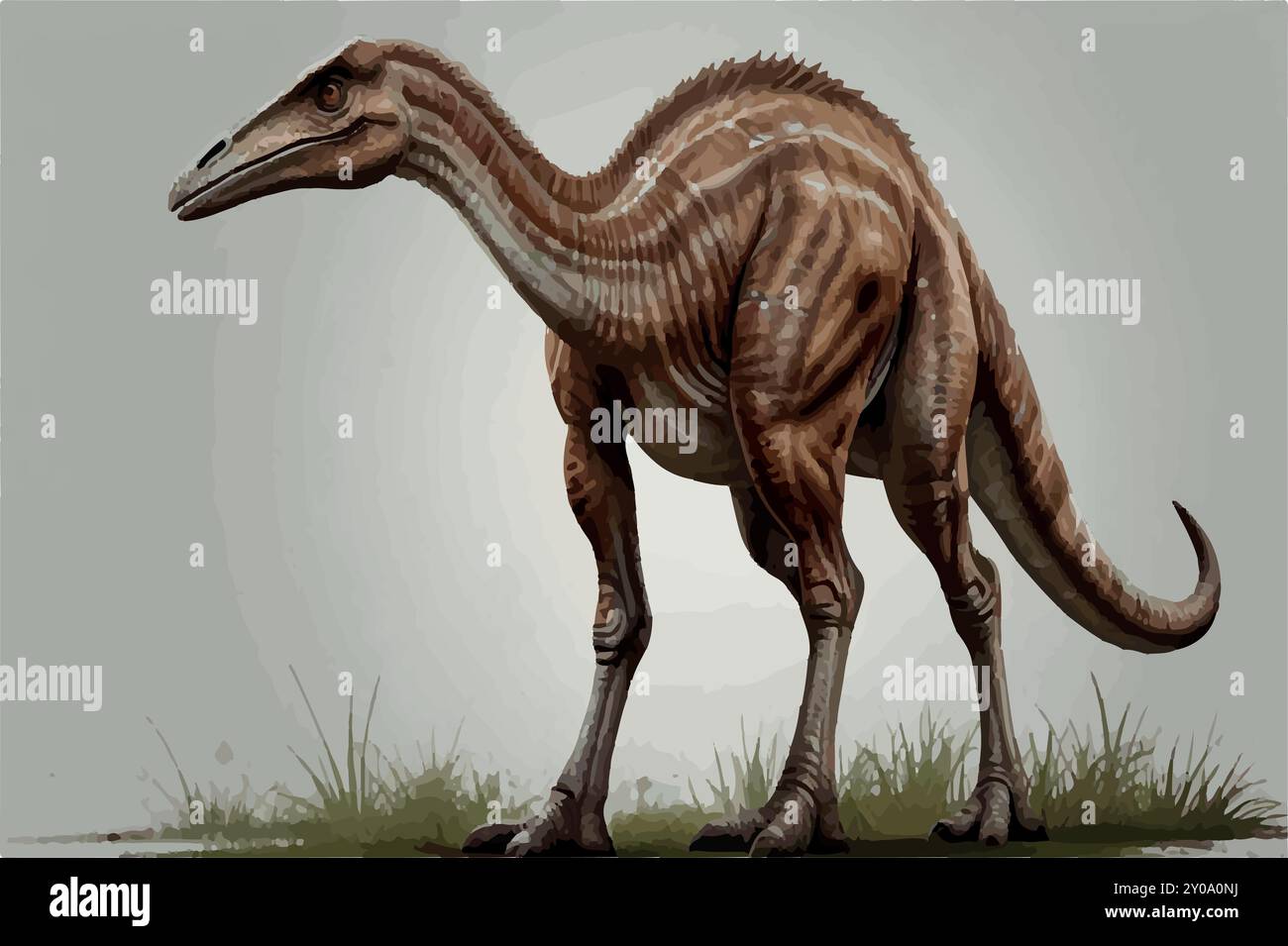 Gallimimus- Ein genauerer Blick auf den schnellsten Dinosaurier. Stock Vektor