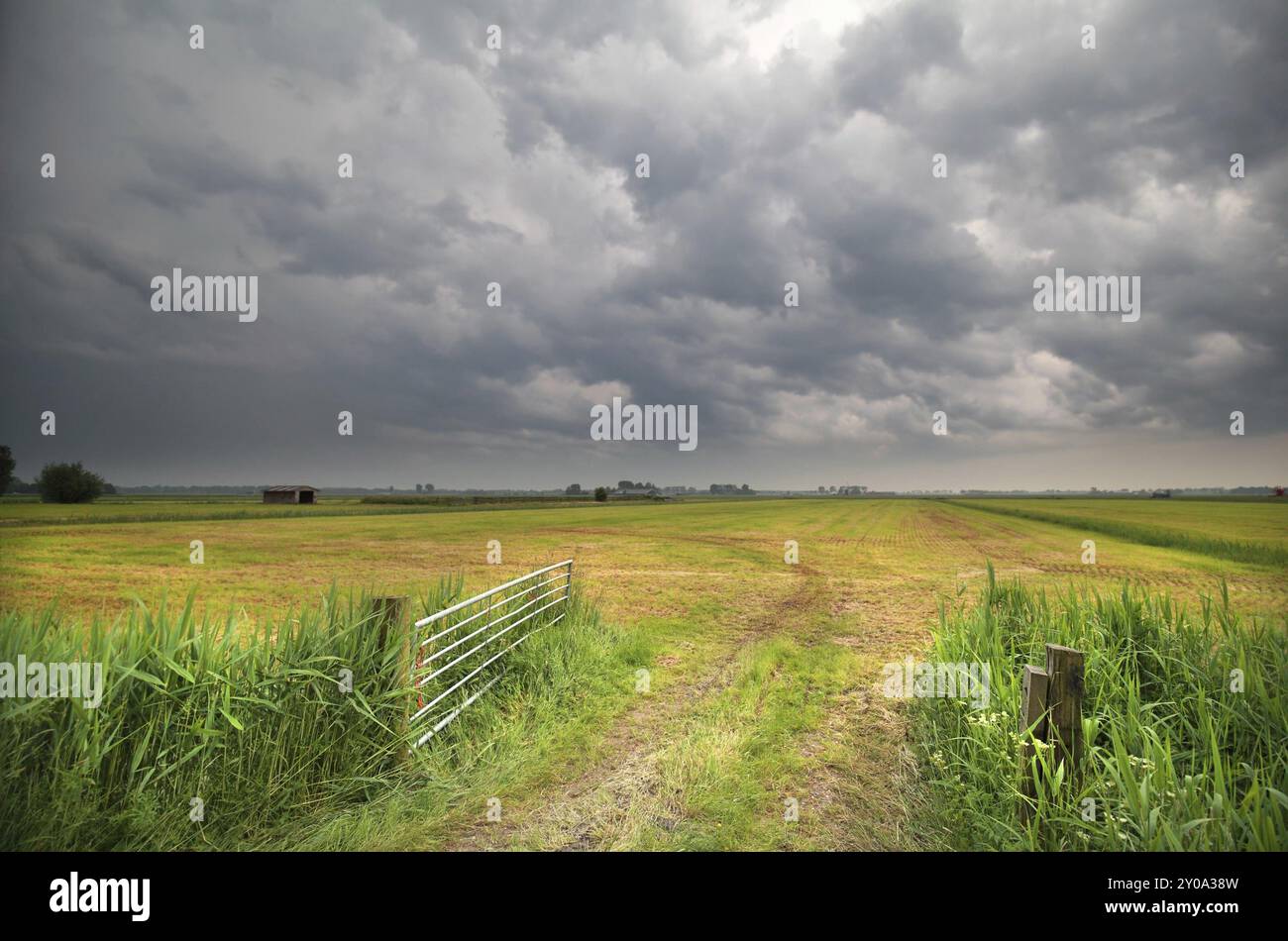 Stürmische Wolke am Himmel über Ackerland, Holland Stockfoto