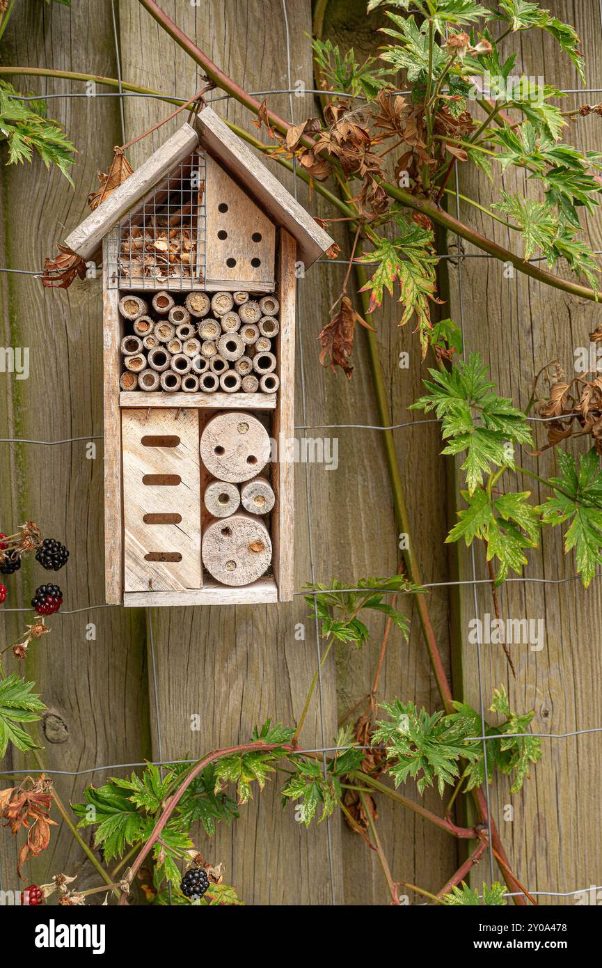 Insecte Hotel Housing Solitary Bees, Dänemark, 1. september 2024 Stockfoto