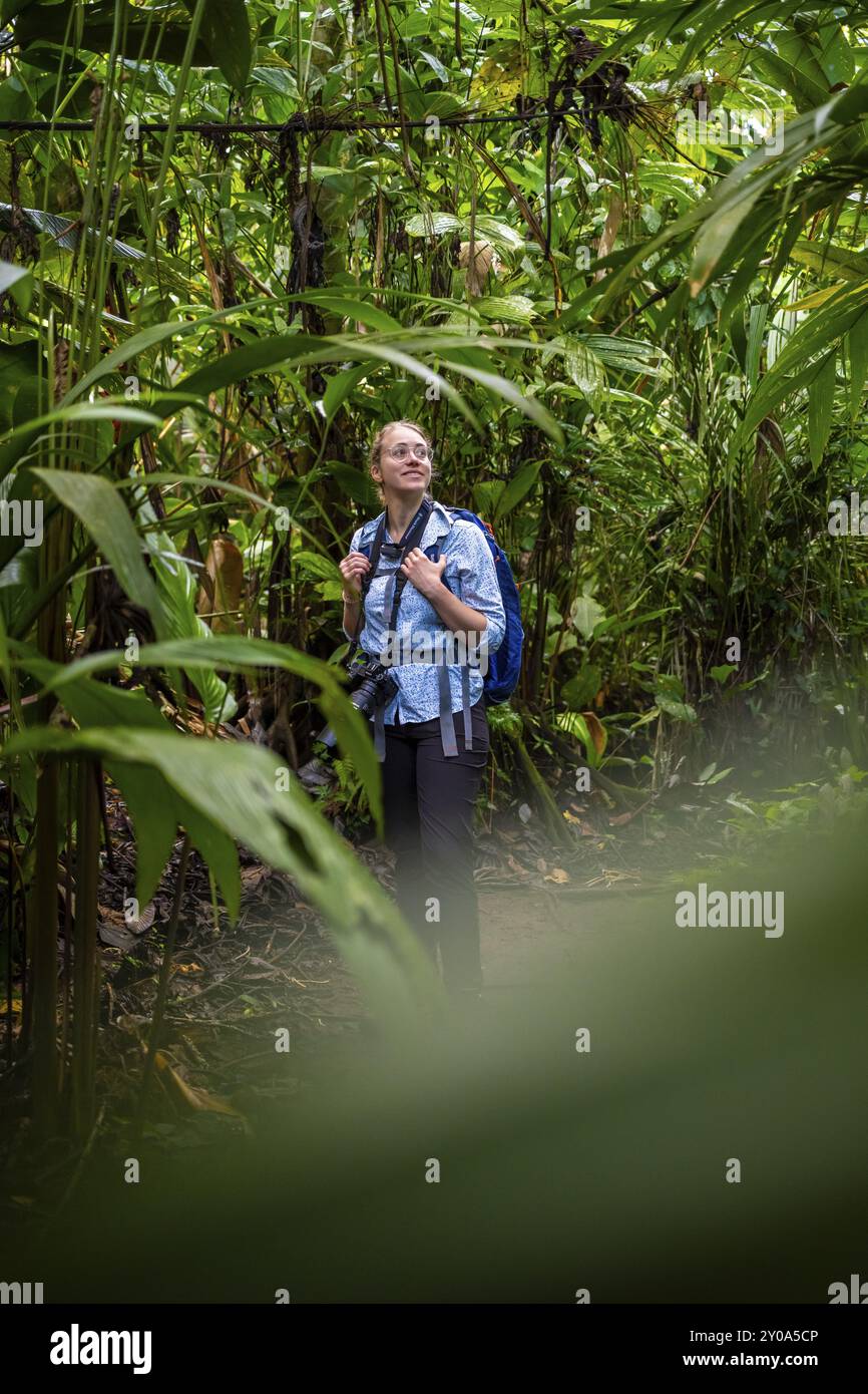 Touristen erkunden Regenwald, dichte Vegetation, Tortuguero Nationalpark, Costa Rica, Mittelamerika Stockfoto