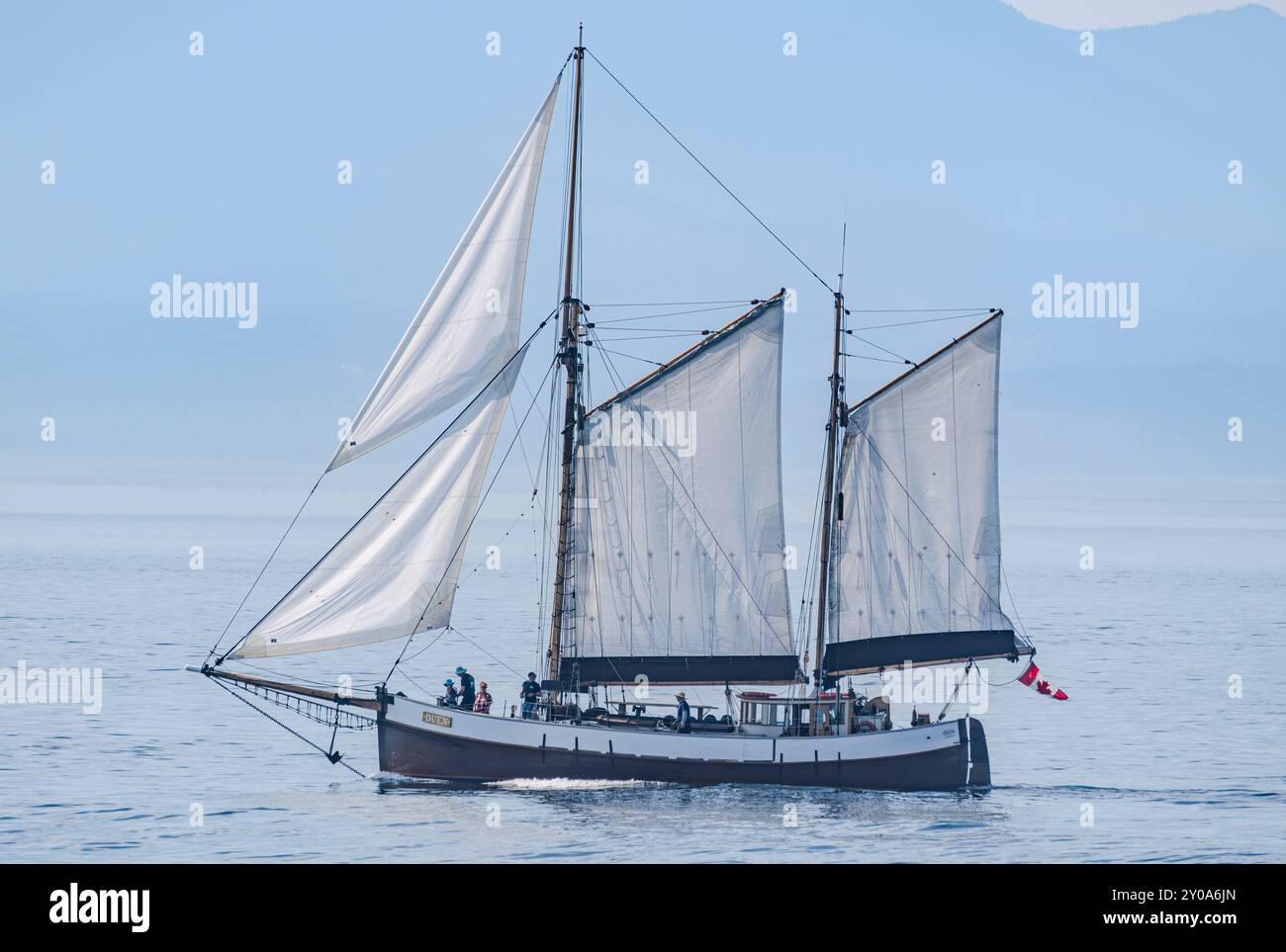 Ein Segelboot, das am Sonntag, dem 1. September 2024, im Rahmen des Victoria Classic Boat Festivals in British Columbia, Kanada, vorbeifährt. Stockfoto