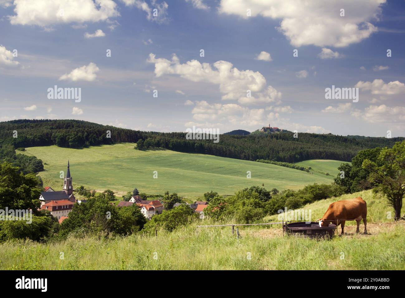 Landschaft in Thüringen mit Kuh und Schloss Leuchtenburg am Horizont Landschaft Thüringen mit Kuh und Schloss Leuchtenburg am Horizont Stockfoto