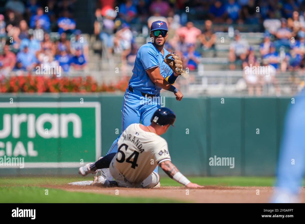 Minneapolis, Minnesota, USA. September 2024. Der zweite Baseman LEO JIMENEZ (49) der Toronto Blue Jays spielt in einem MLB-Baseballspiel zwischen den Minnesota Twins und den Toronto Blue Jays im Target Field mit 4:3. (Kreditbild: © Steven Garcia/ZUMA Press Wire) NUR REDAKTIONELLE VERWENDUNG! Nicht für kommerzielle ZWECKE! Quelle: ZUMA Press, Inc./Alamy Live News Stockfoto