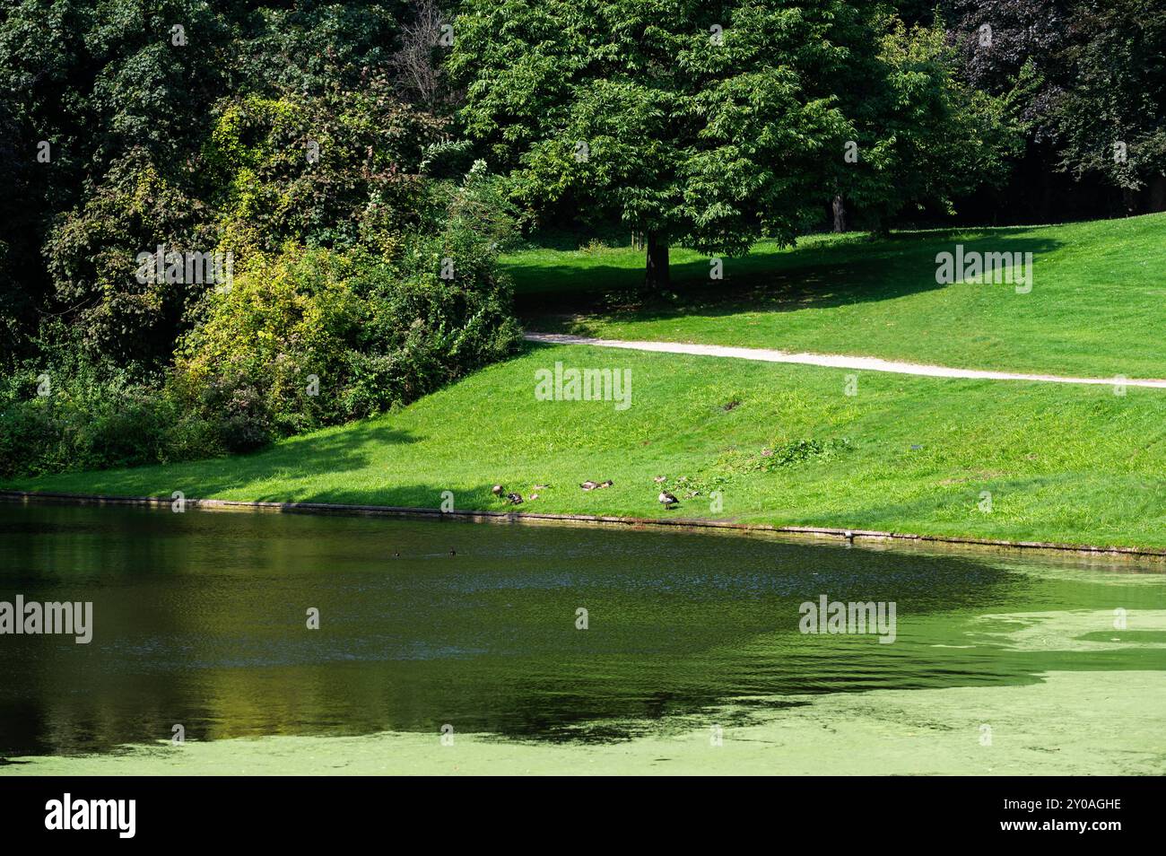 Wasserteich und grüne Umgebung des Dorfparks von Dilbeek, Flämisch Brabant, Belgien Stockfoto