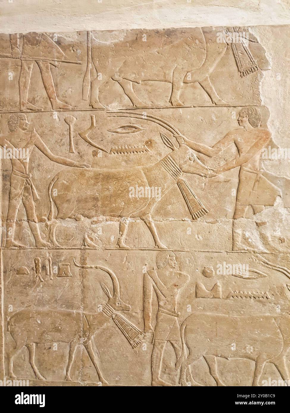 Detaillierte Wandreliefs mit Marktszenen, die den Verkauf einer Ziege und Gazelle im Mastaba-Grab von Merurka, Großwesir an Pharoah Teti, 6. Dynastie in Sakkara, Kairo, Ägypten zeigen Stockfoto