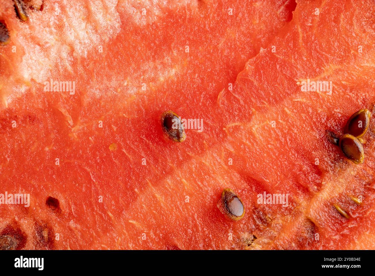 Ein Stückchen reifer roter Wassermelone mit Samen, Wintersorten roter Wassermelone mit großen und harten Samen, aufgeteilt in Teile Stockfoto