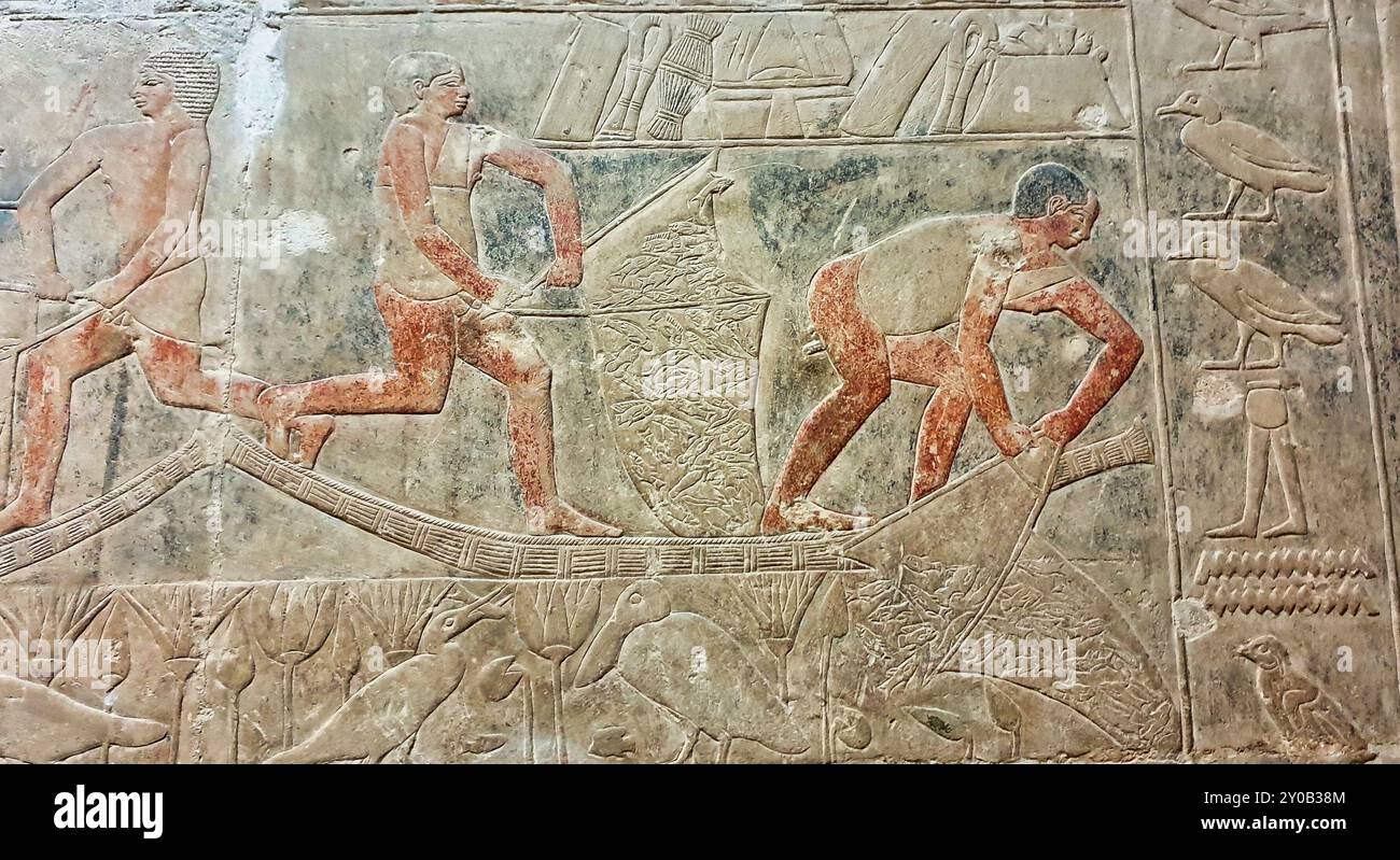 Wunderschöne Szenen des Alltags mit Männern, die im Nil fischen, und Wasservögeln, die im Mastaba-Grab von Merurka, Großwesir von Pharoah Teti, 6. Dynastie in Sakkara, Kairo, Ägypten essen Stockfoto