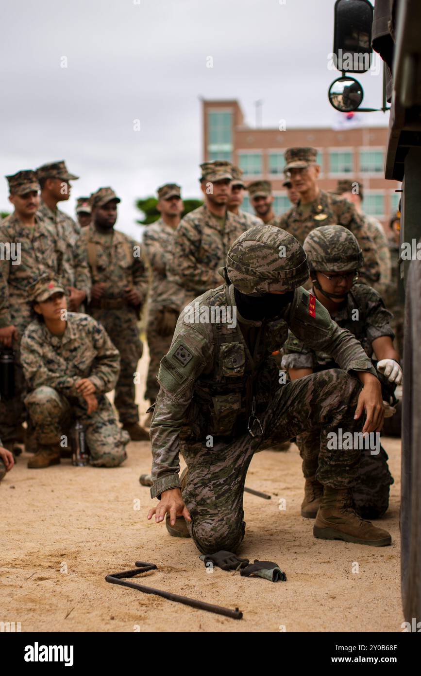 Sgt. Kim MinSeo, Front, ein LKW-Fahrer, und PFC. Song Jiwon, ein Mechaniker, beide dem Transportbataillon der ROK Marine Logistics Group zugeordnet, demonstrieren den US-Marines, die dem Combat Logistics Bataillon 15, 15. Marine Expeditionary Unit und Combat Logistics Bataillon 31, 31. Marine Expeditionary Unit, wie man einen K511A1 2,5 Tonnen Übungswagen Reifen während eines Wartungsfachaustausches tauschen kann 2024. Übung SY24 stärkt den ROK-U.S. Allianz durch bilaterale, gemeinsame Ausbildung, Konr Stockfoto