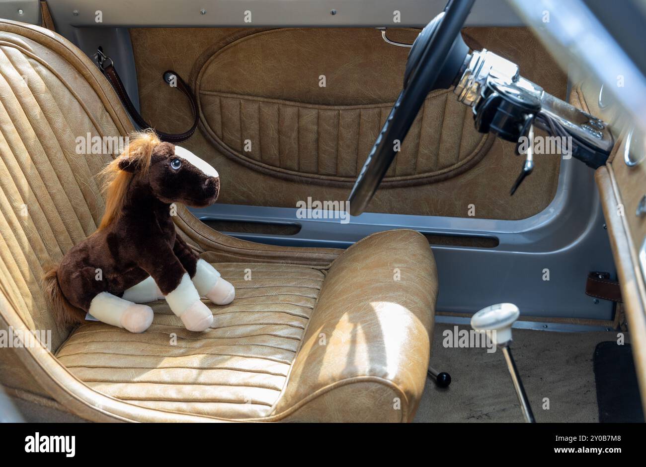 Ein Pferd mit mehr als einer Pferdestärke sitzt auf dem Fahrersitz eines Oldtimers auf dem Concours of Elegance 2024 Stockfoto
