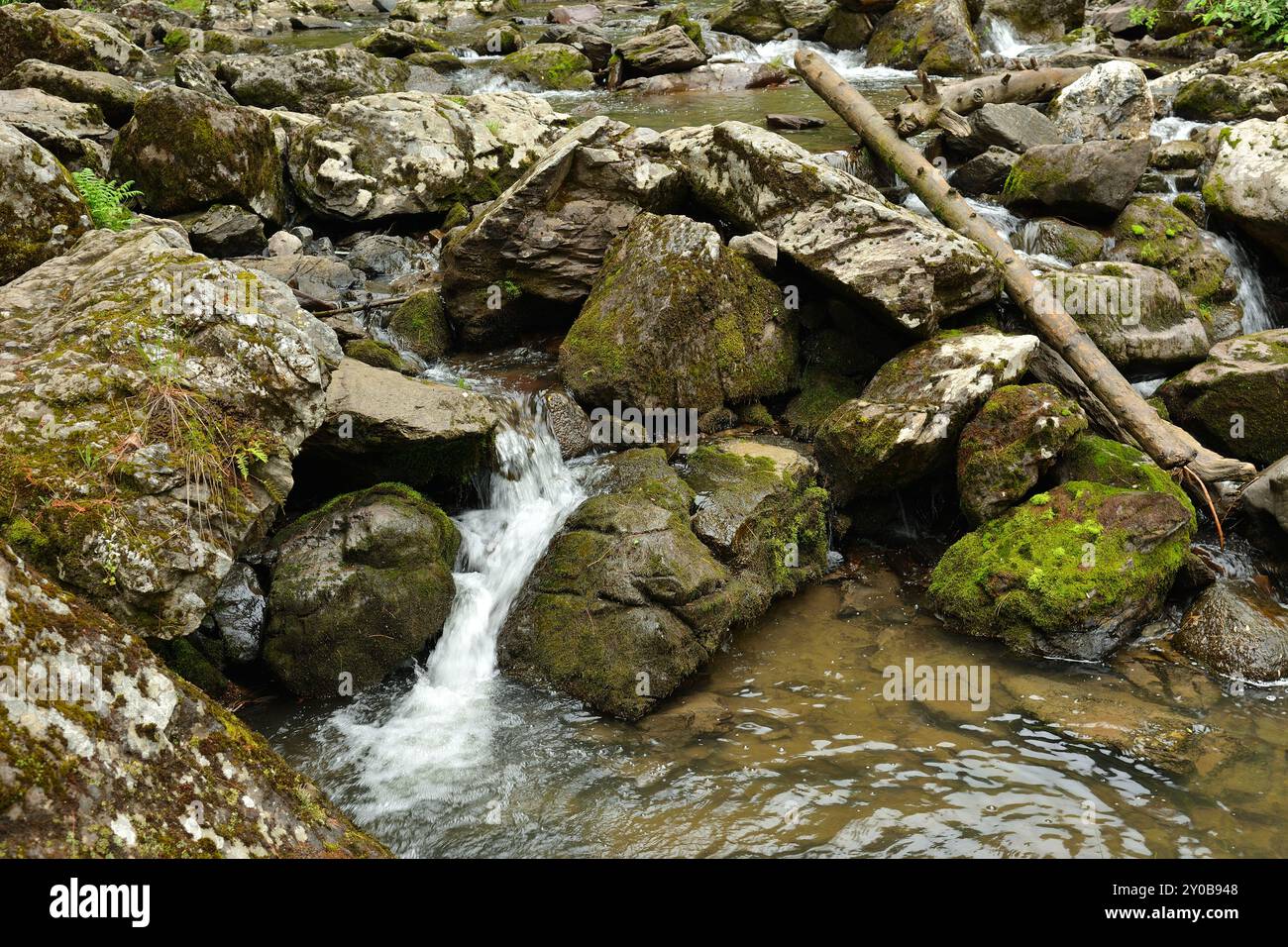 Große Steine und gefallene Stämme alter Bäume im Bett eines rauschenden Baches, der an einem bewölkten Sommertag von den Bergen durch einen dichten Wald fließt. T Stockfoto