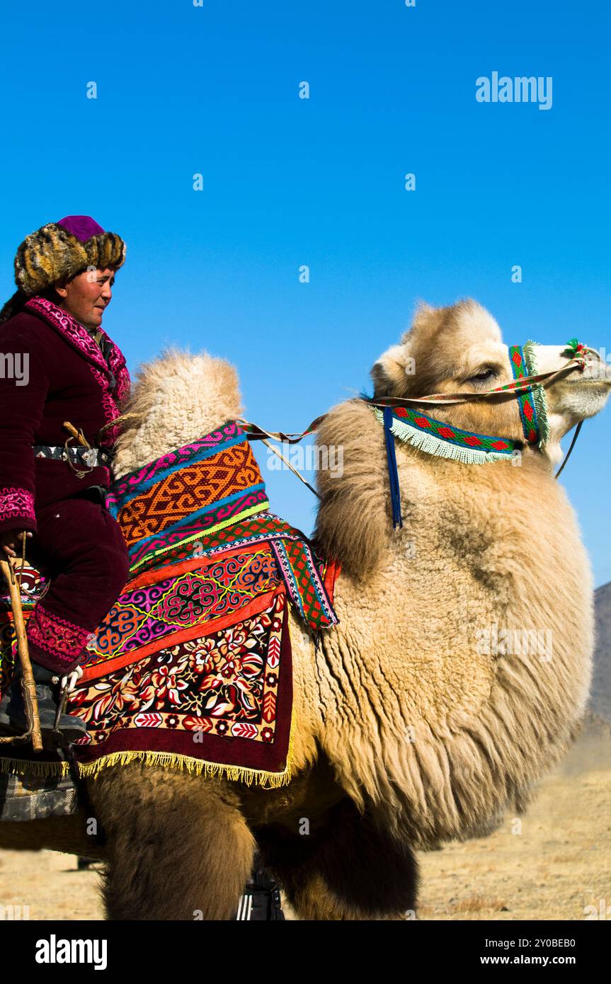 Porträt eines kasachischen Mannes, der auf seinem baktrischen Kamel reitet. Foto in der Region Altai in der westlichen Mongolei. Stockfoto