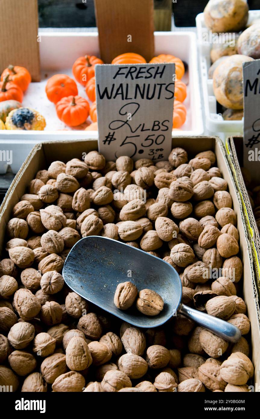 Frische Wallnüsse auf dem farbenfrohen italienischen Markt in Philadelphia, USA. Stockfoto