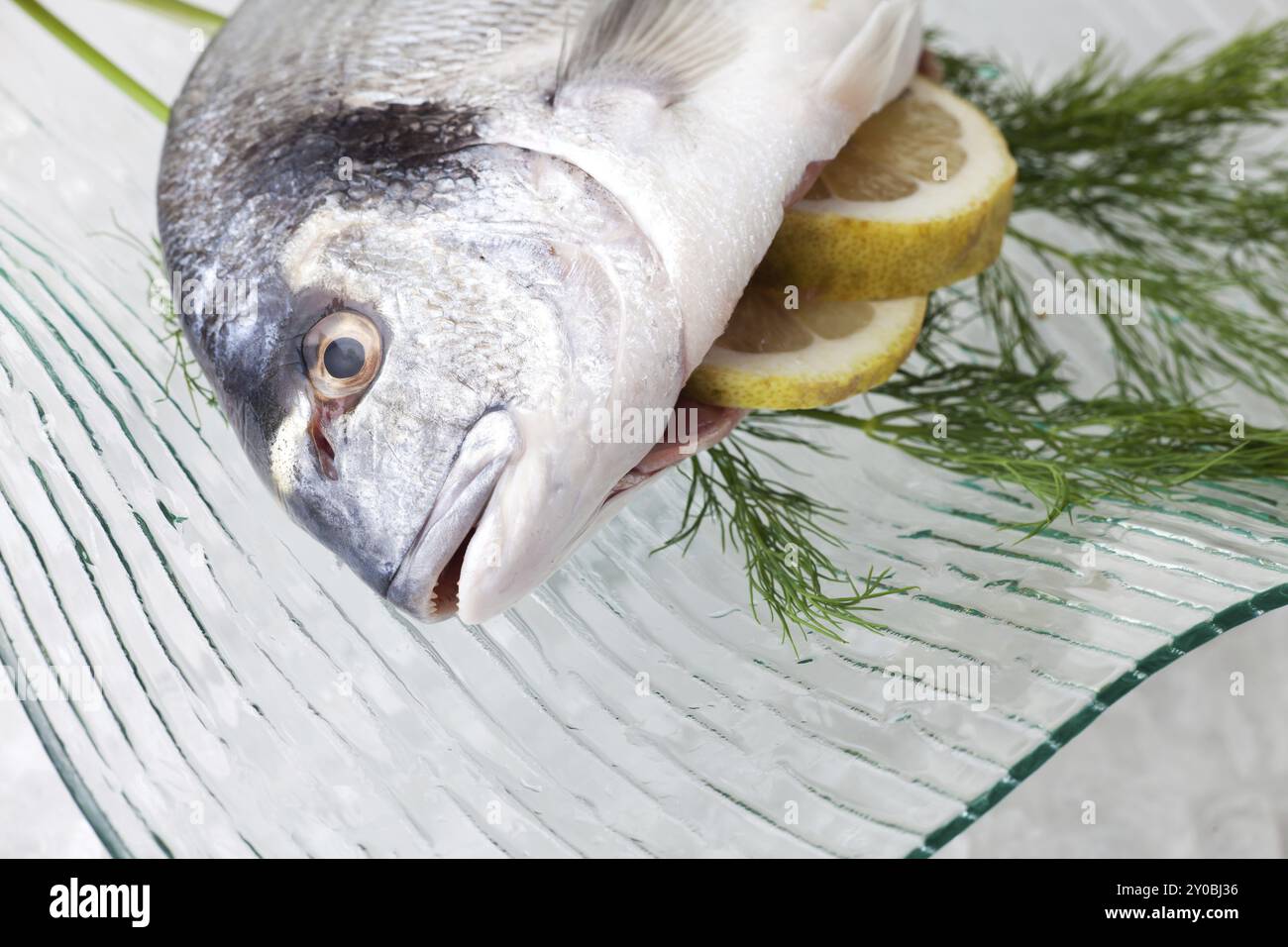 Brassen auf einer Glasplatte Stockfoto