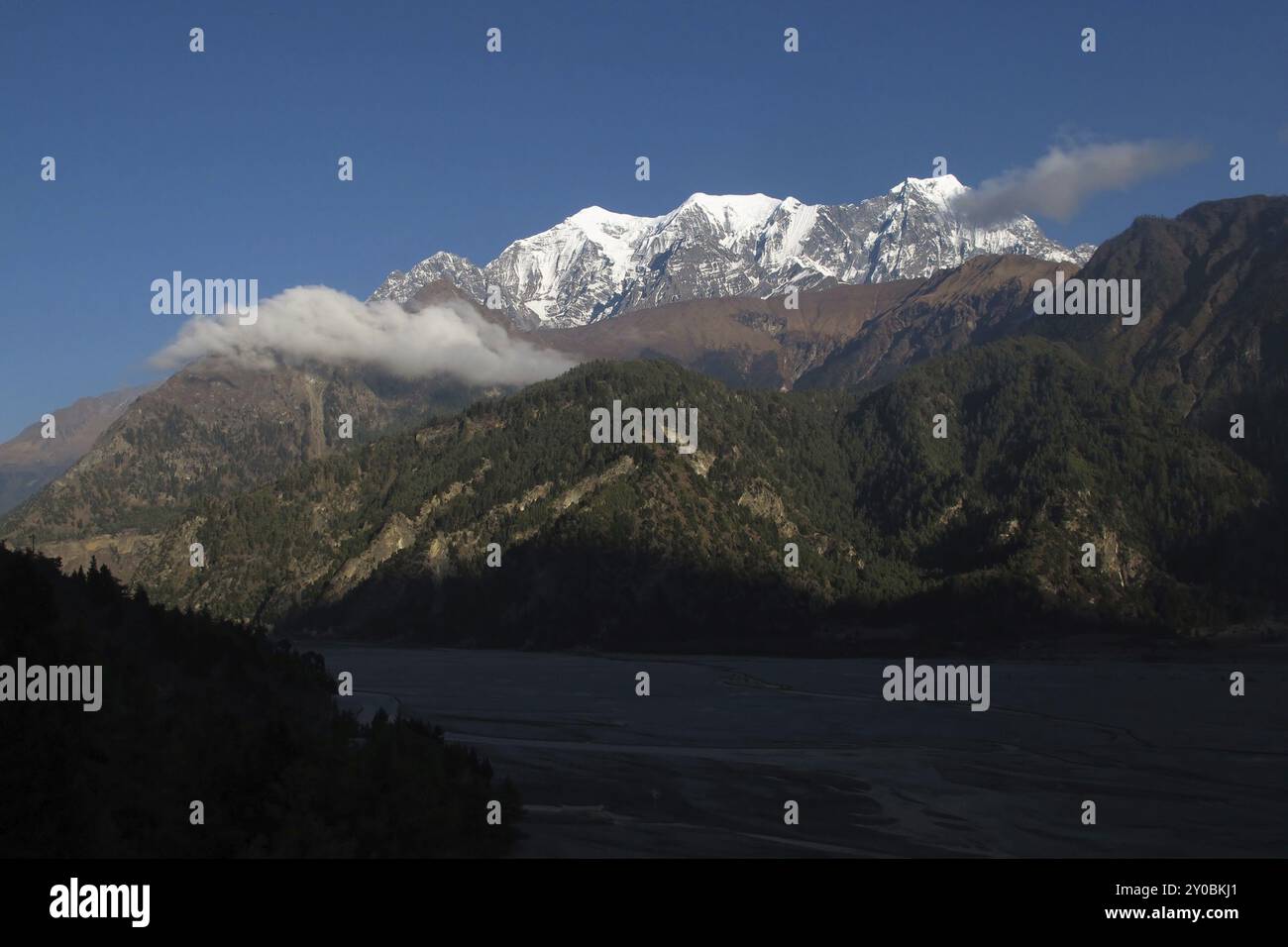 Nilgiri am Abend Stockfoto